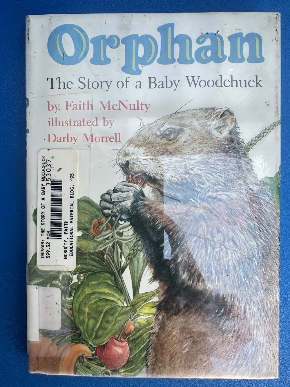 Orphan: The Story of a Baby - Library Binding, by McNulty Faith - Vintage 1992